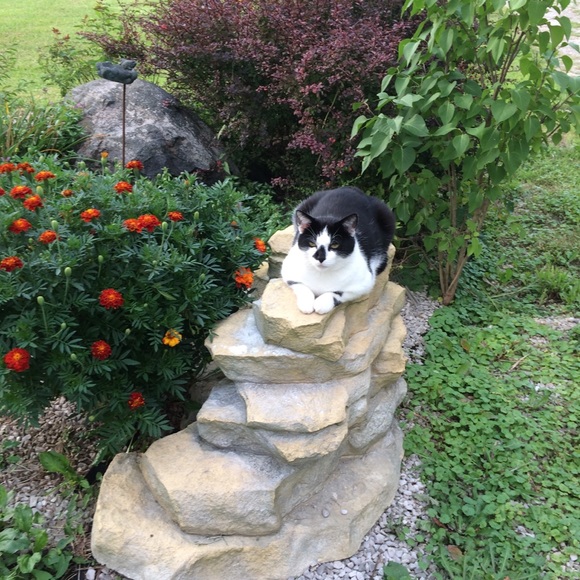 Meet your Posher, Terri - Picture 2 of 2